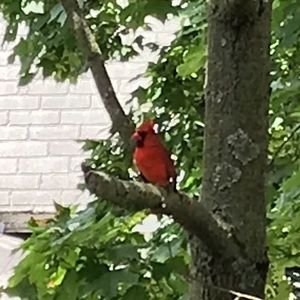 Meet your Posher, Patrick